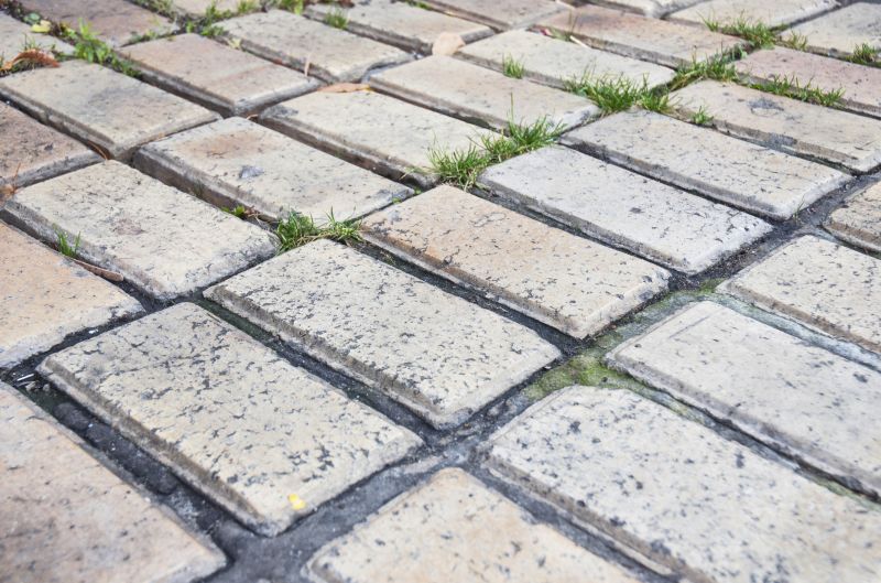 Brick Flatwork Repair in Land O Lakes, FL