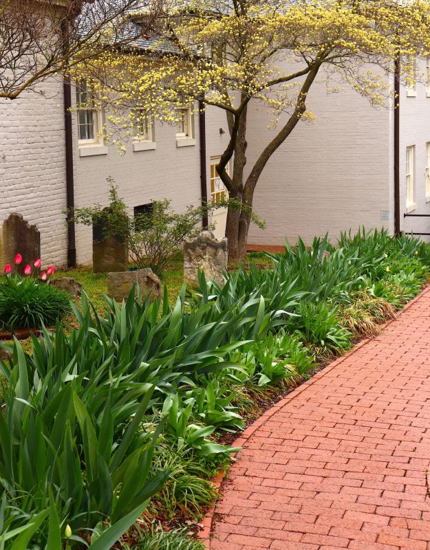 Brick Pathway Repair in Spring Hill, FL