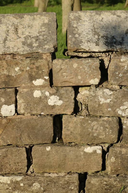 Stone Wall Repair in Pasco County, FL